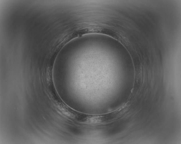X0000056340078200508291327