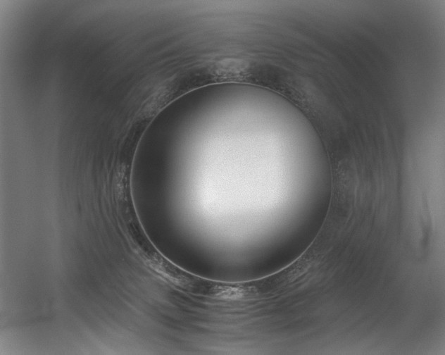 X0000056340083200508291327