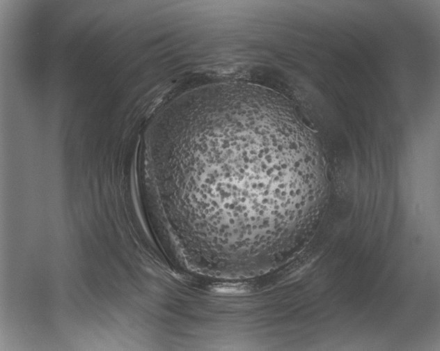 X0000056340085200508291327