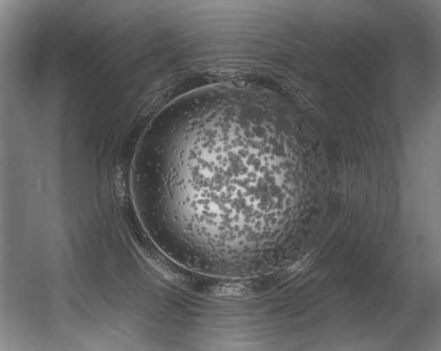 X0000056340086200508291327