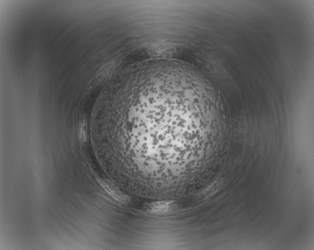X0000056340090200508291327