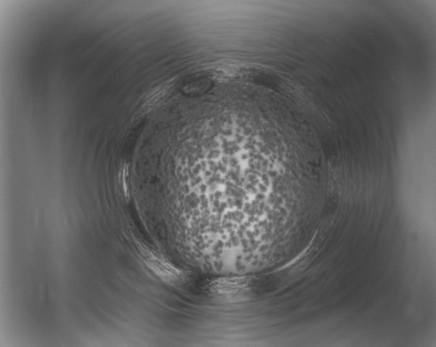 X0000056340094200508291327