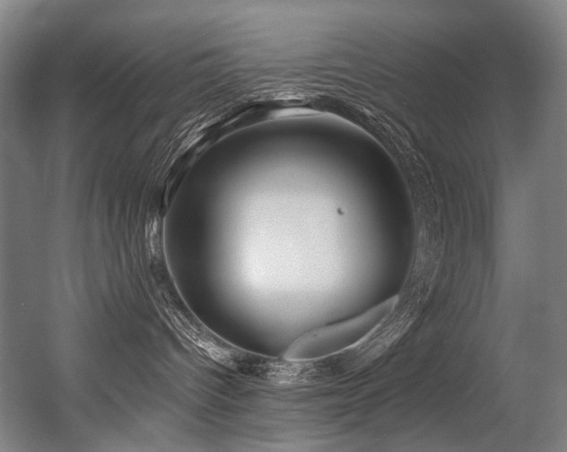 X0000056340096200508291327