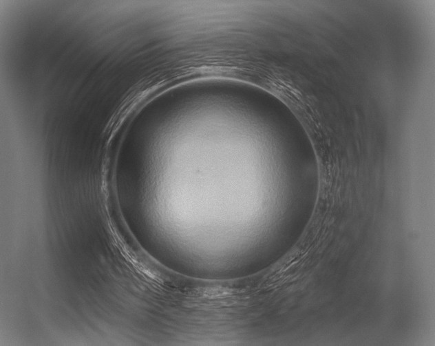 X0000056340098200508291326