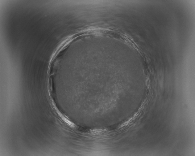 X0000056340101200508291326
