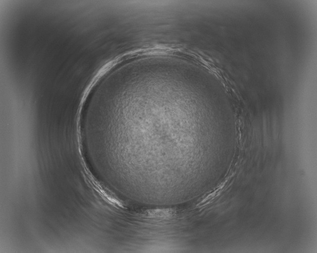 X0000056340102200508291326