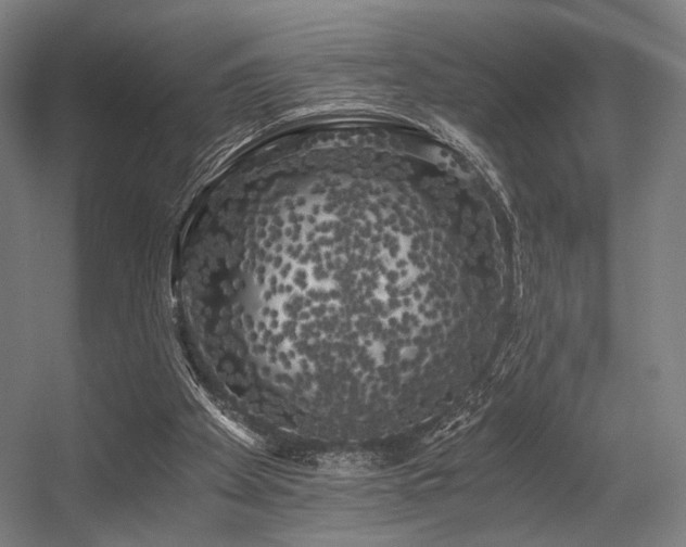 X0000056340105200508291326