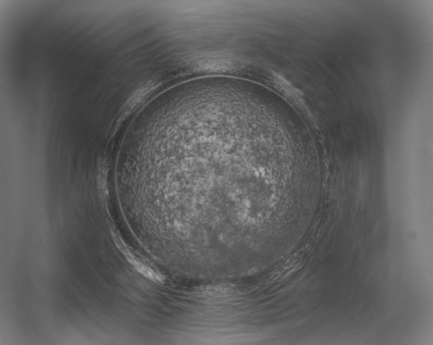 X0000056340106200508291326