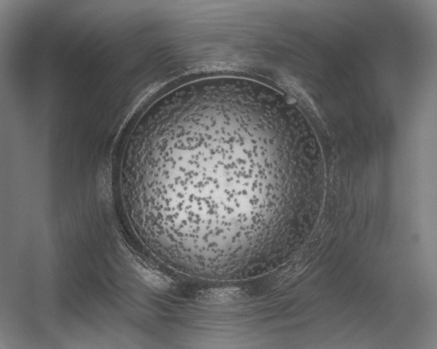 X0000056340108200508291326