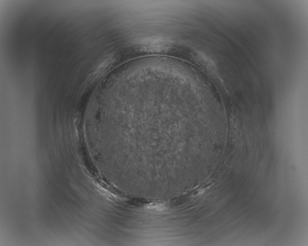 X0000056340114200508291326