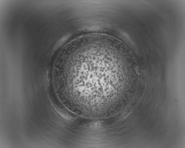 X0000056340116200508291326