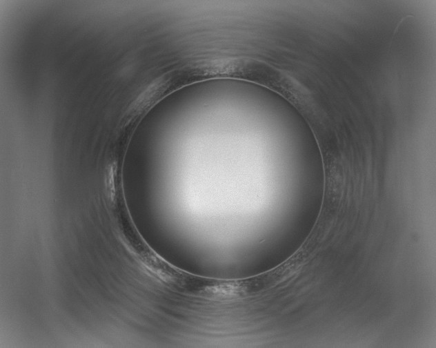 X0000056340118200508291326