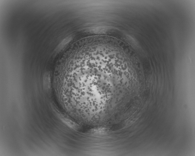 X0000056340120200508291326