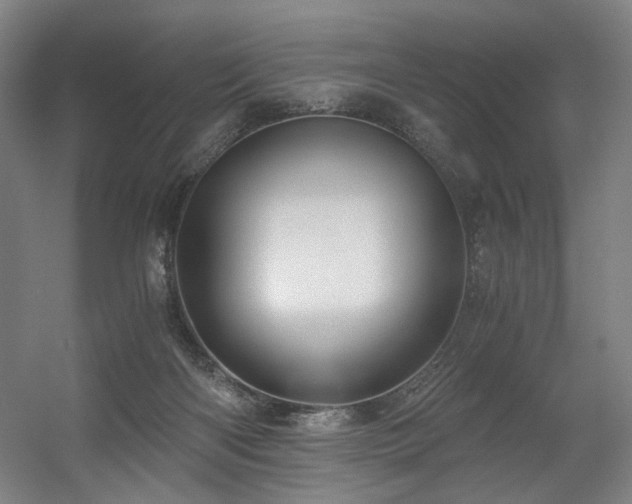 X0000056340122200508291326