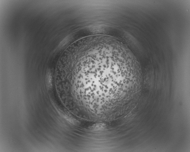 X0000056340124200508291326