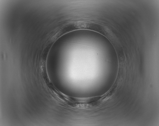 X0000056340125200508291326
