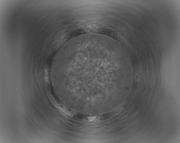 X0000056340130200508291325