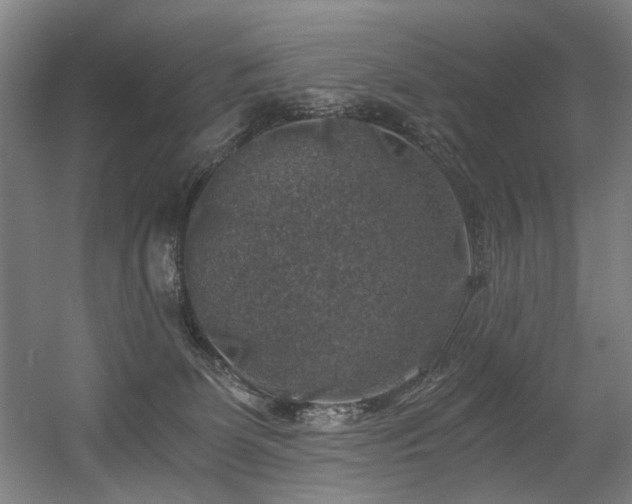 X0000056340131200508291325