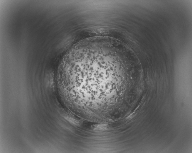 X0000056340132200508291325