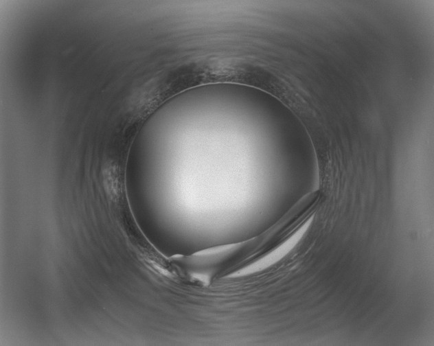 X0000056340135200508291325