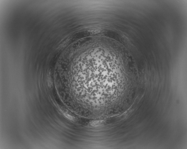 X0000056340136200508291325
