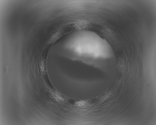 X0000056340139200508291325