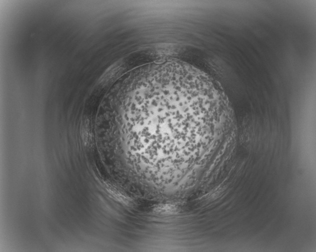 X0000056340140200508291325