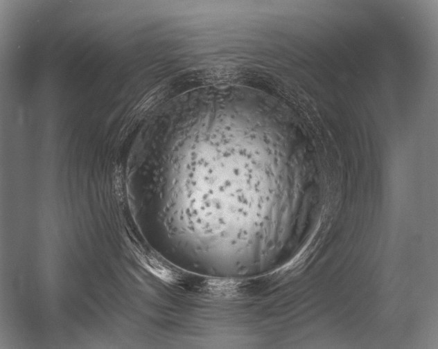 X0000056340144200508291325