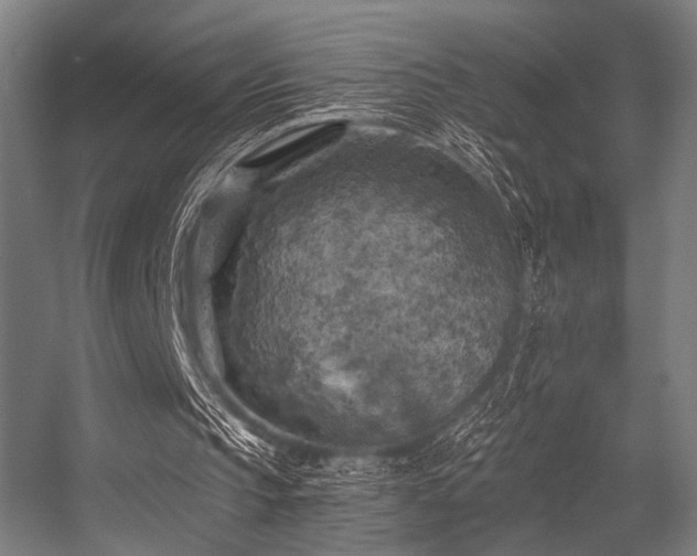 X0000056340145200508291324