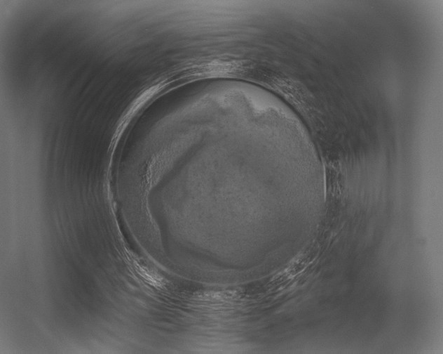 X0000056340147200508291324