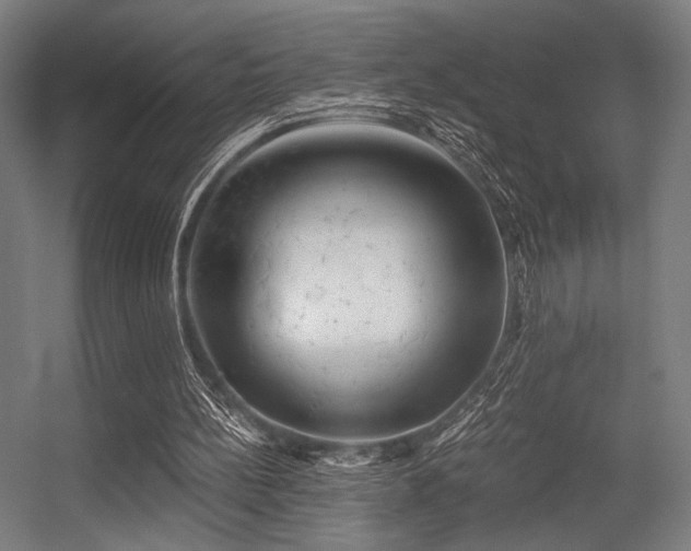 X0000056340148200508291324