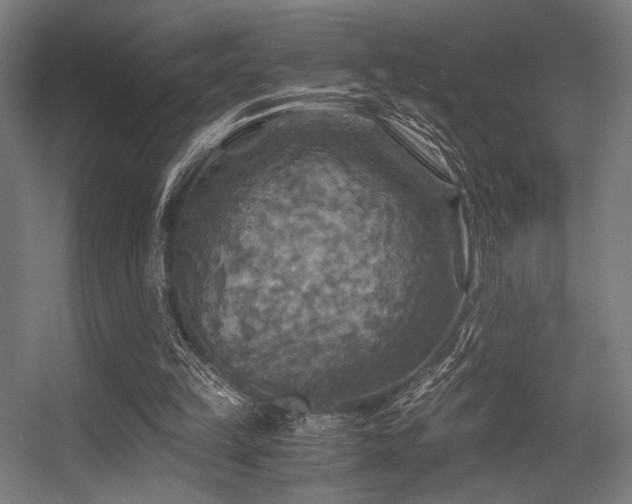 X0000056340149200508291324