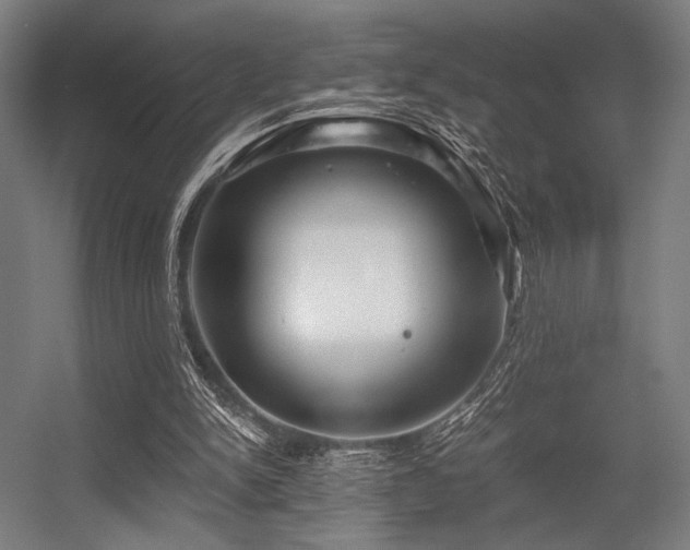 X0000056340150200508291324