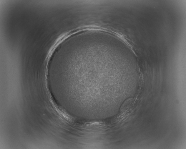 X0000056340151200508291325