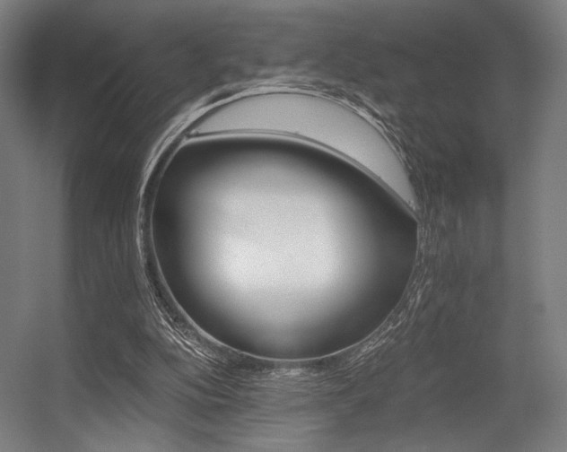 X0000056340152200508291325