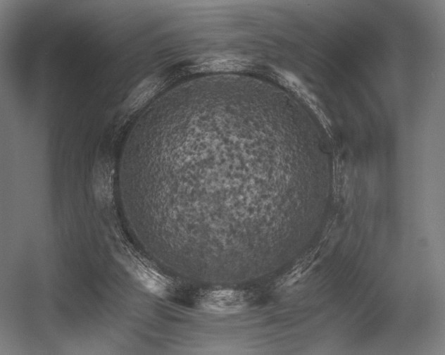 X0000056340153200508291325