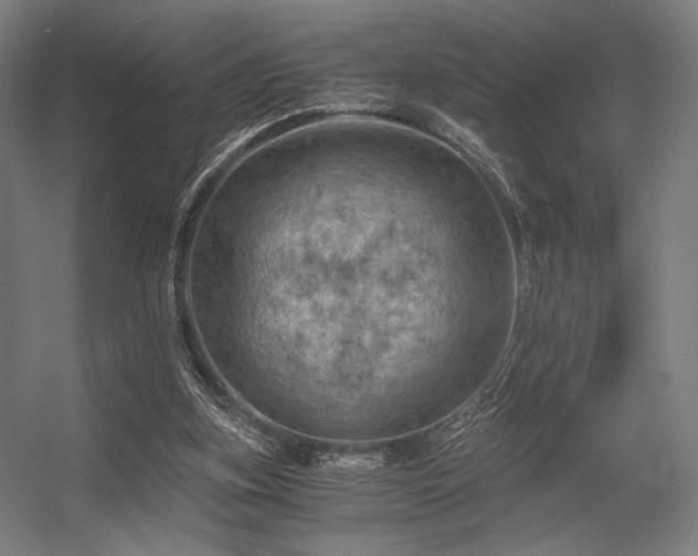 X0000056340155200508291325