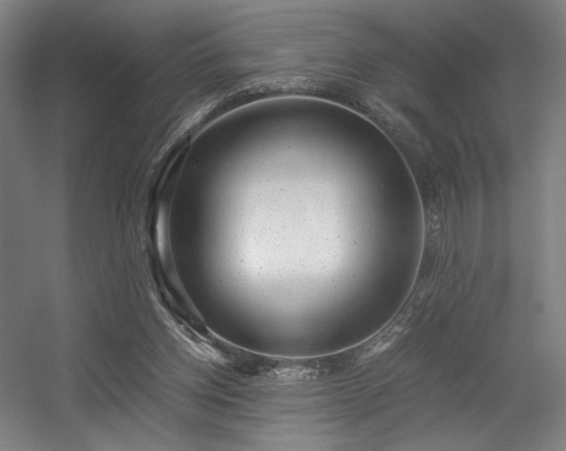 X0000056340158200508291325