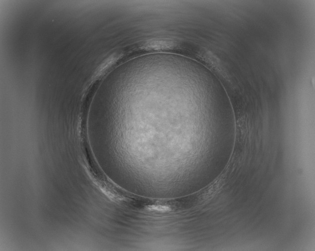 X0000056340159200508291325