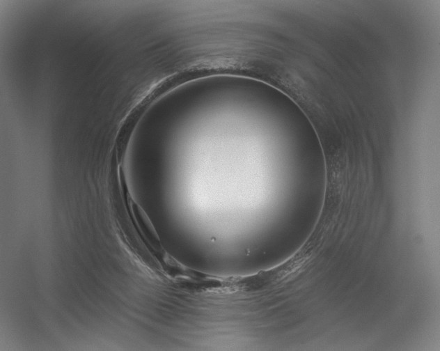 X0000056340160200508291325