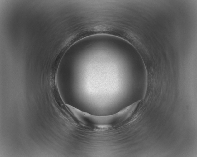 X0000056340164200508291325