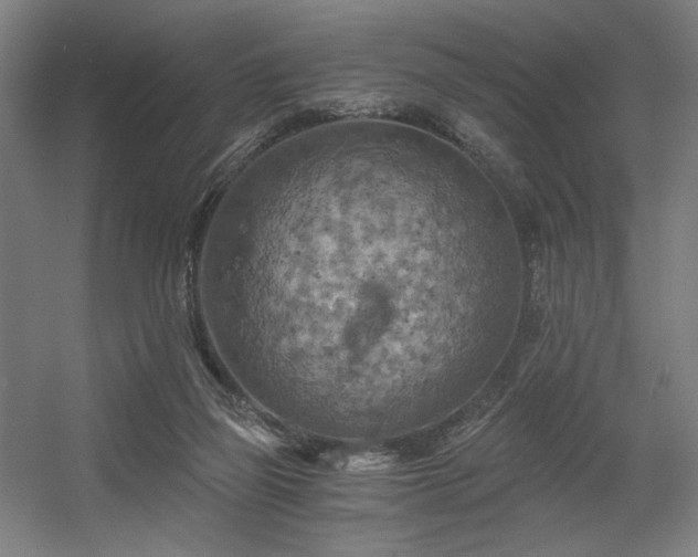 X0000056340165200508291325