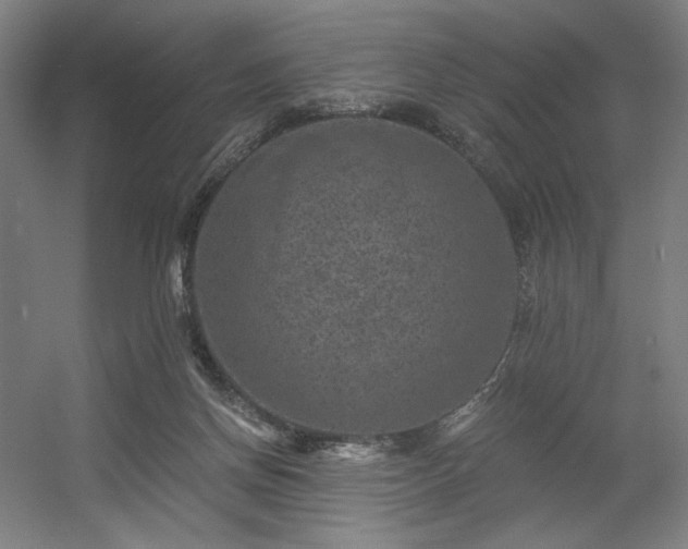 X0000056340166200508291325