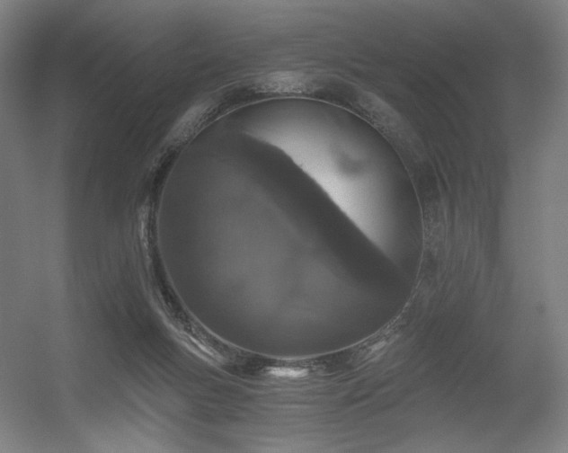 X0000056340167200508291325