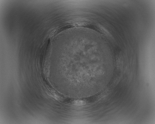 X0000056340169200508291325