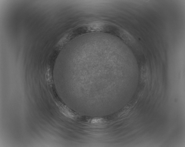 X0000056340173200508291325