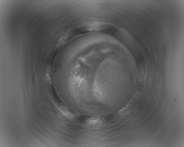 X0000056340175200508291325