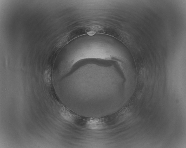 X0000056340177200508291325