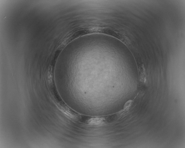 X0000056340179200508291325