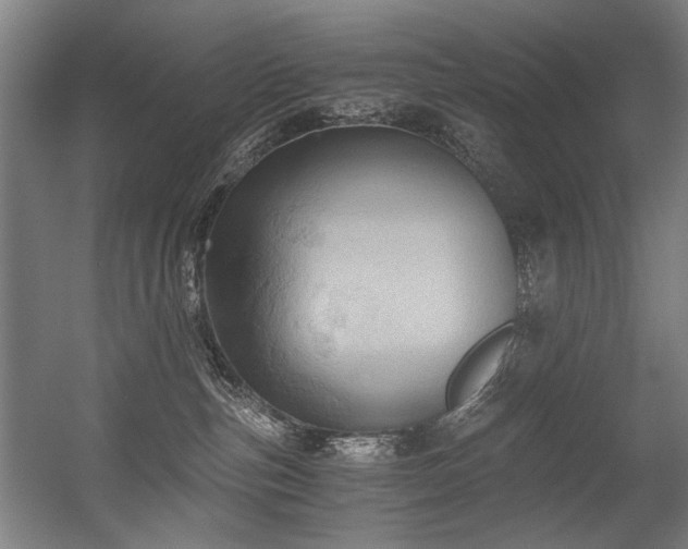 X0000056340187200508291325